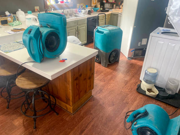 Best Basement water damage restoration  in Cedar Knolls, NJ