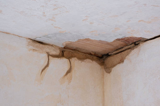 Best Carpet water damage restoration  in Cedar Knolls, NJ