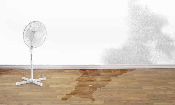 Best Water damage contractors near me  in Cedar Knolls, NJ